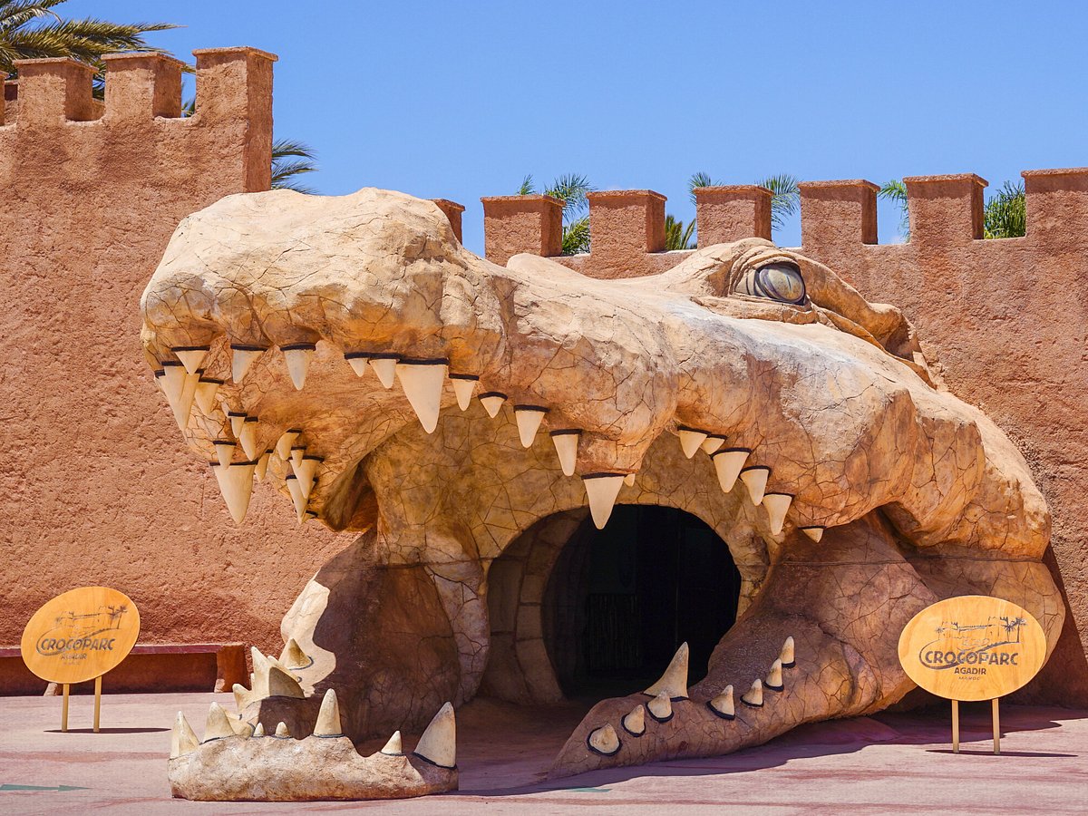 Agadir Day Trip to Croco Parc – Crocodile & Anaconda